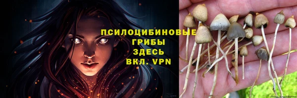 сатива Абаза