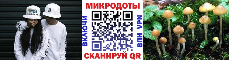 Псилоцибиновые грибы мицелий  omg рабочий сайт  Моршанск 