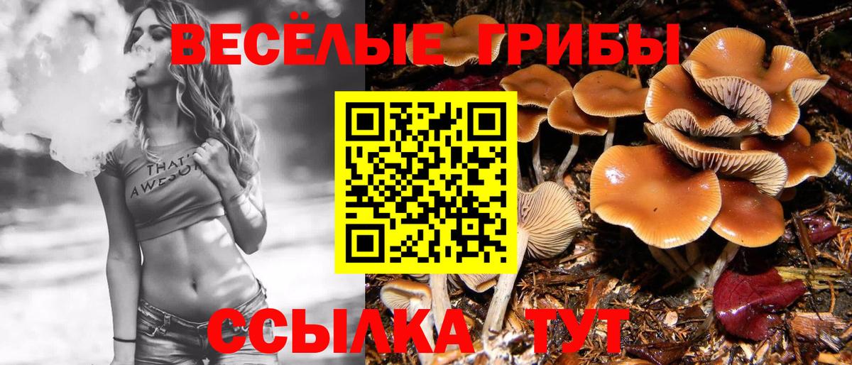 Моршанск  Псилоцибиновые грибы ЛСД  Вход с VPN  Псилоцибиновые грибы GOLDEN TEACHER 