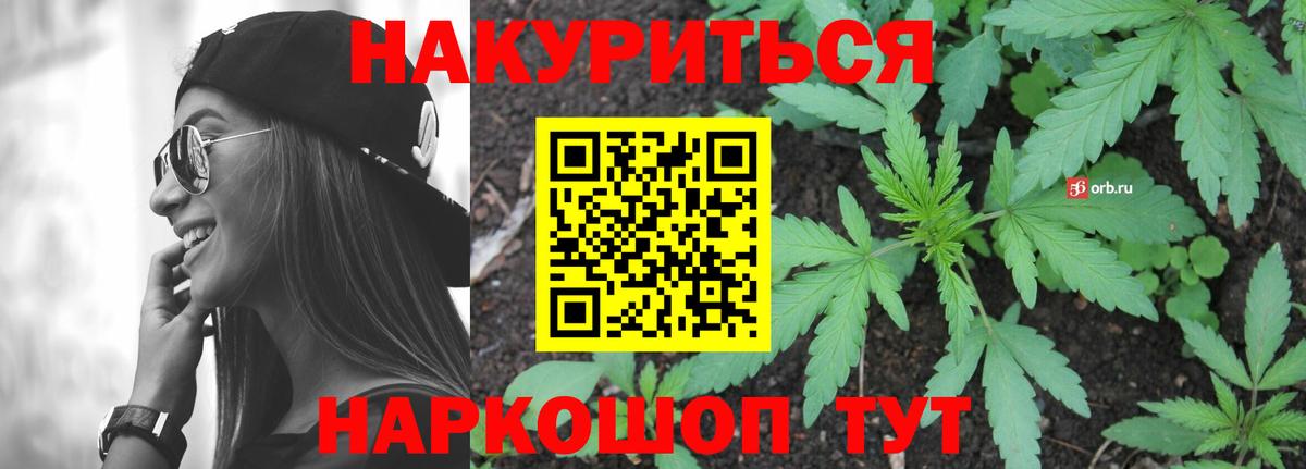 Каннабис планчик Моршанск